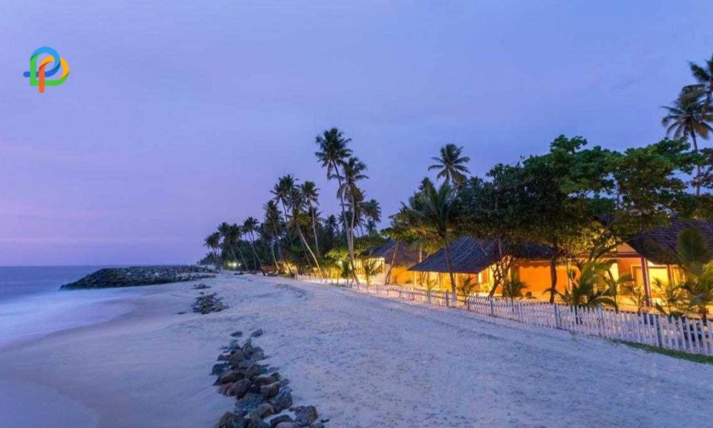 Beach Resorts In Alappuzha For The Best Beach Vacation!