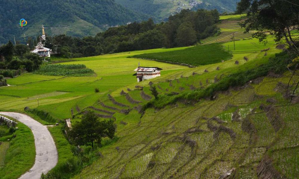 Climatic Conditions Of Ziro Valley