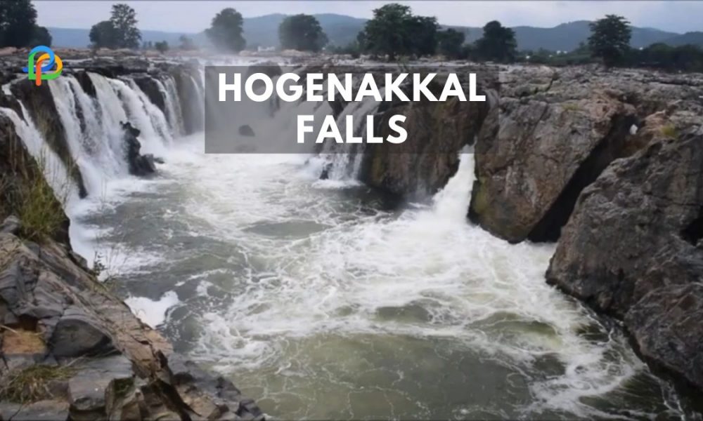 Hogenakkal Falls: Enjoy Natural Wonder - A Travel Guide!
