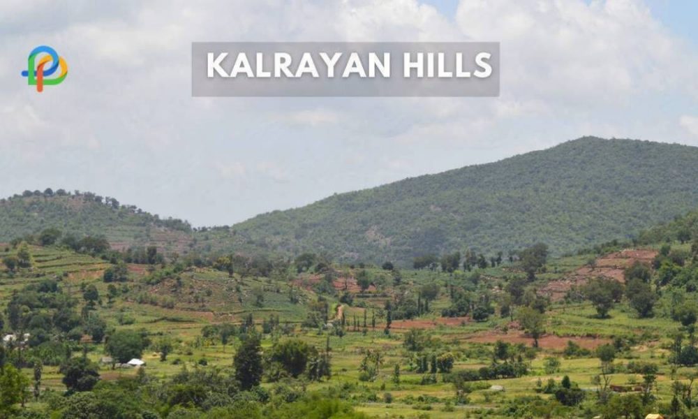 Kalrayan Hills A Nature's Serene Retreat In Tamil Nadu!
