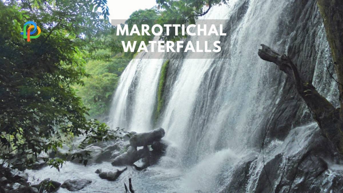 Marottichal Waterfalls A Quick Guide To Kerala's Hidden Gem