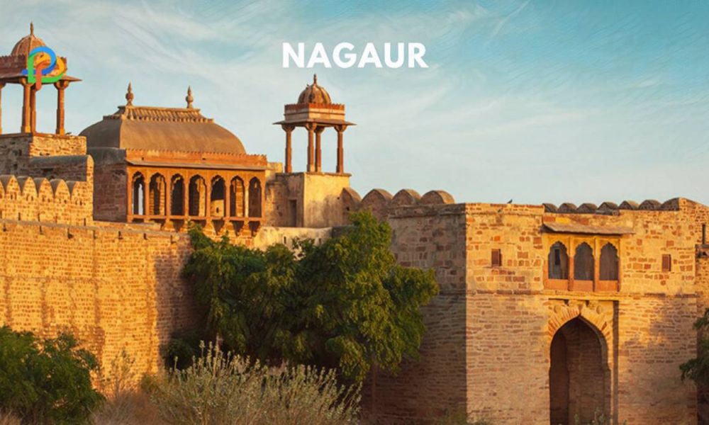 Nagaur Explore A Rich Historic City In Rajasthan!