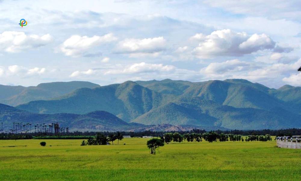 Pachamalai Hills 