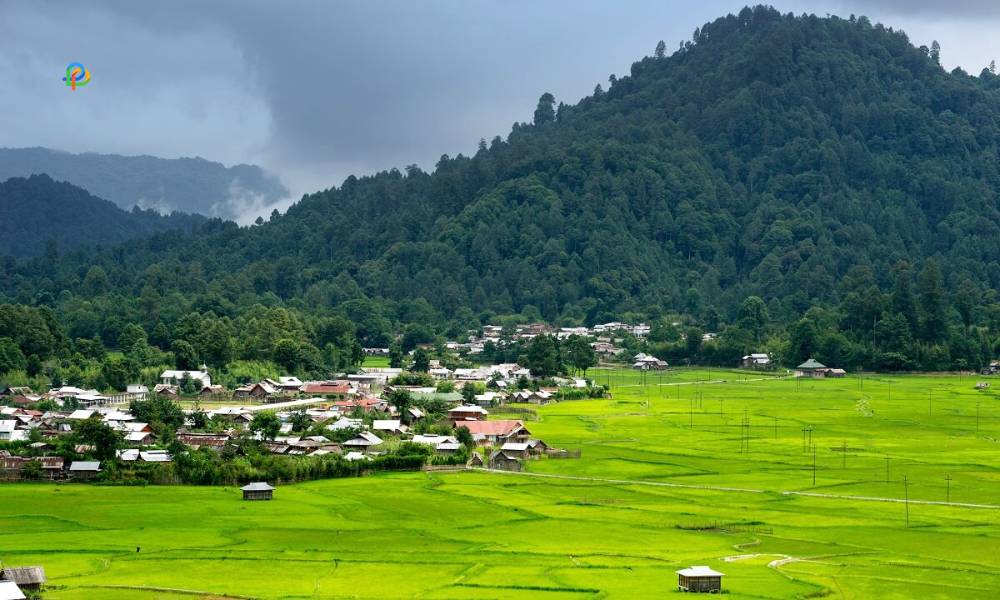 Take A Visit To Old Ziro