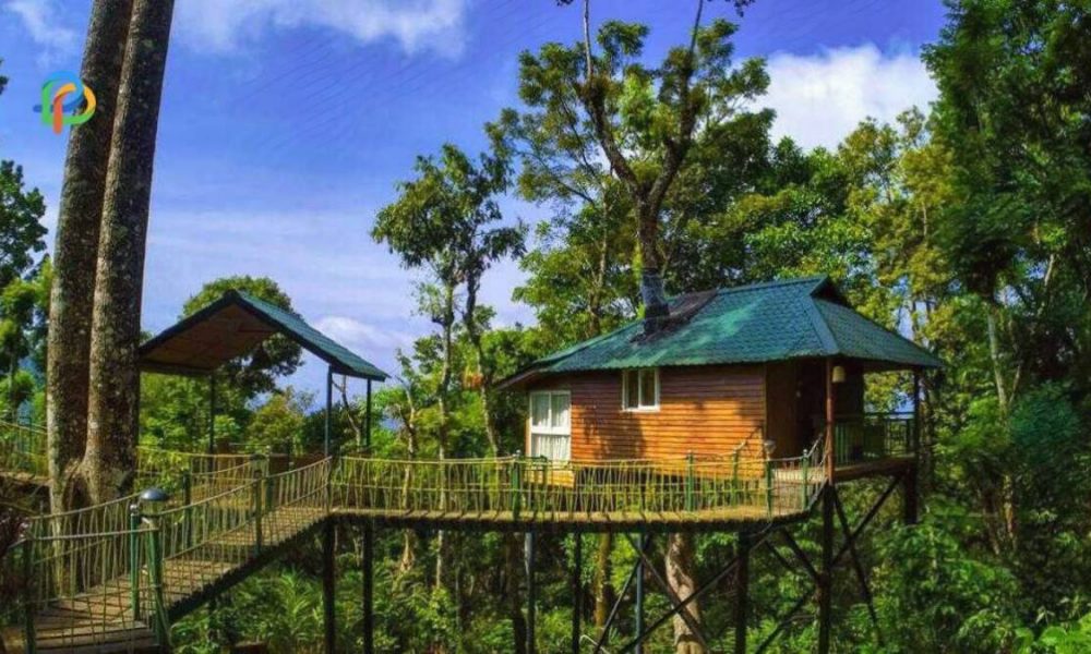 Tree Houses In Wayanad Check Out The Top Ones!