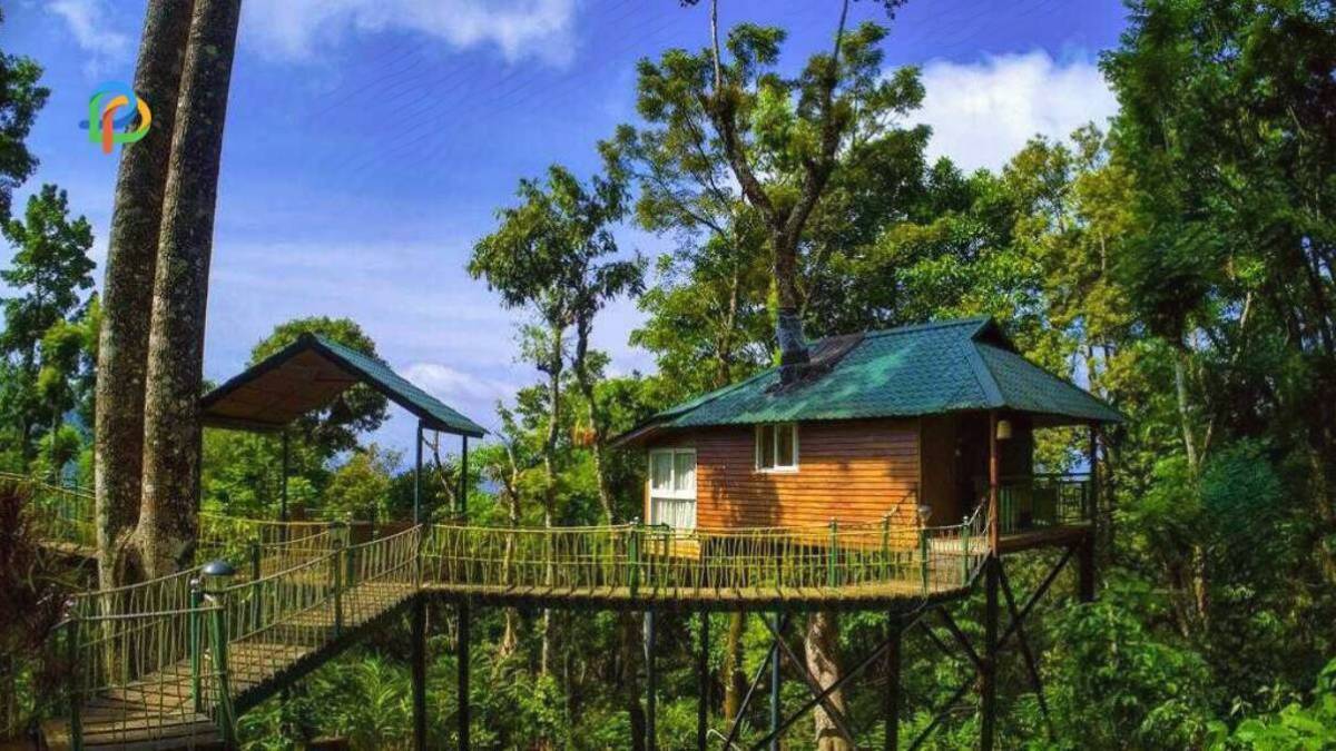 Tree Houses In Wayanad Check Out The Top Ones!