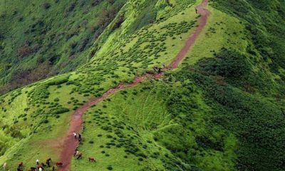 Best Monsoon tReks in India