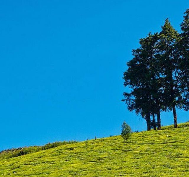 Cleanest hill stations in India