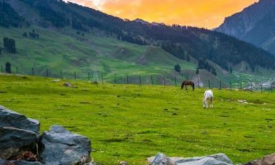 Explore kashmir hill stations