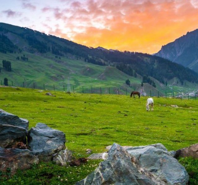 Explore kashmir hill stations