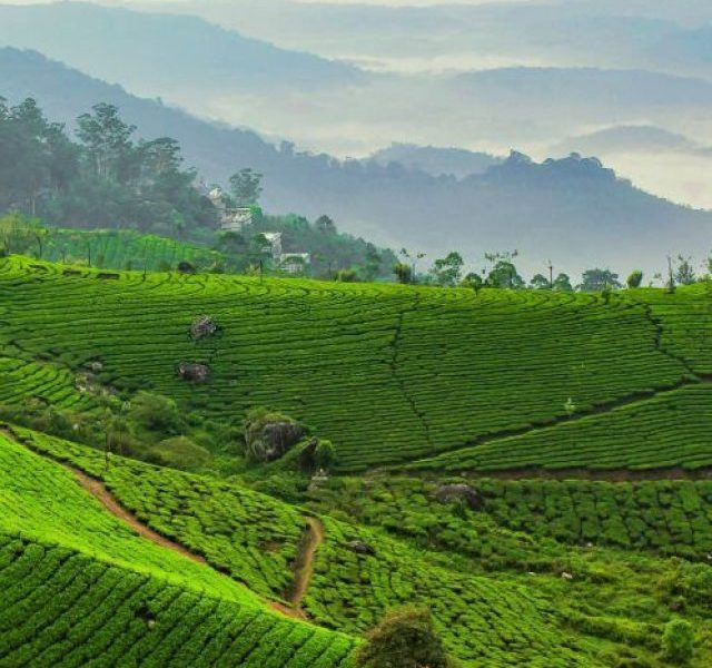 Hill stations in Assam