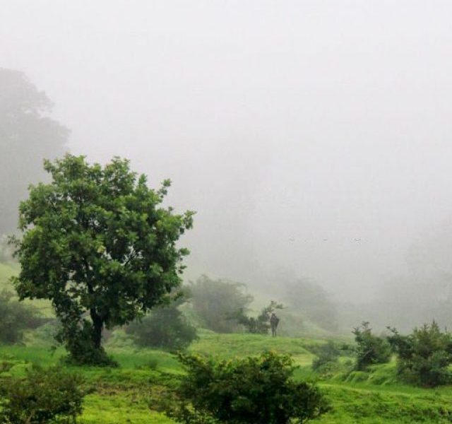 Monsoon Destinations near Nashik