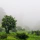 Monsoon Destinations near Nashik