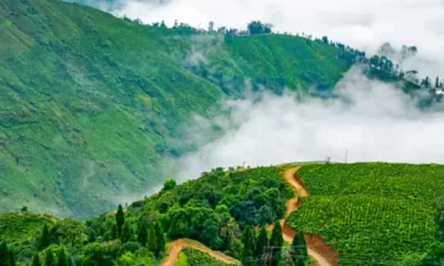 Monsoon spots in North Bengal