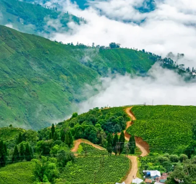 Monsoon spots in North Bengal