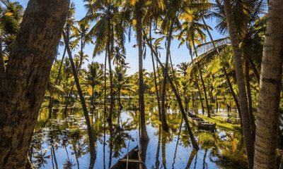 Poovar: Explore A Tropical Paradise In Kerala!