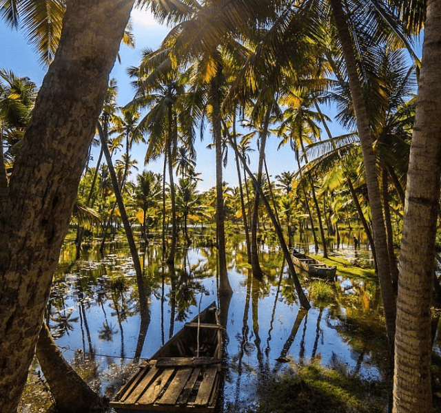 Poovar: Explore A Tropical Paradise In Kerala!