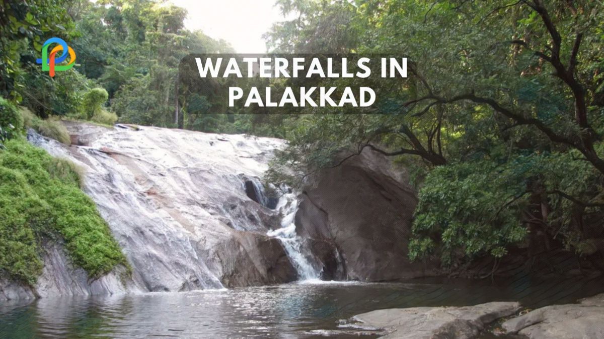 A Refreshing Plunge Into Waterfalls In Palakkad!
