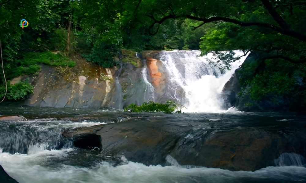 Dhoni Waterfalls