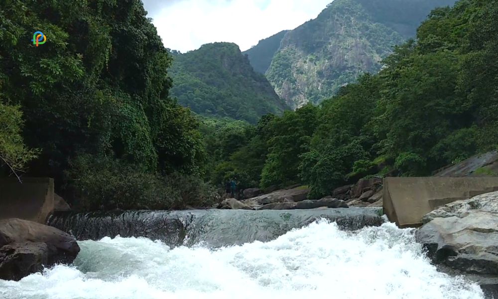 Pathrakadavu Waterfalls