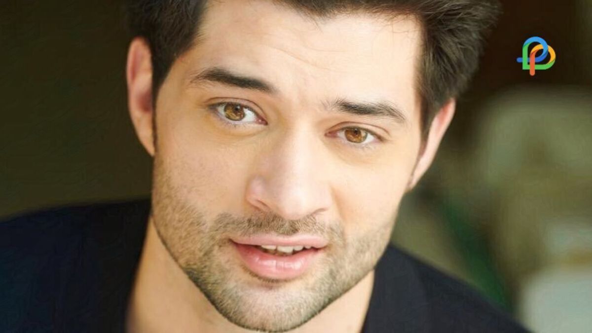 Rajveer Deol Unknown Facts About Director-turned-Actor!