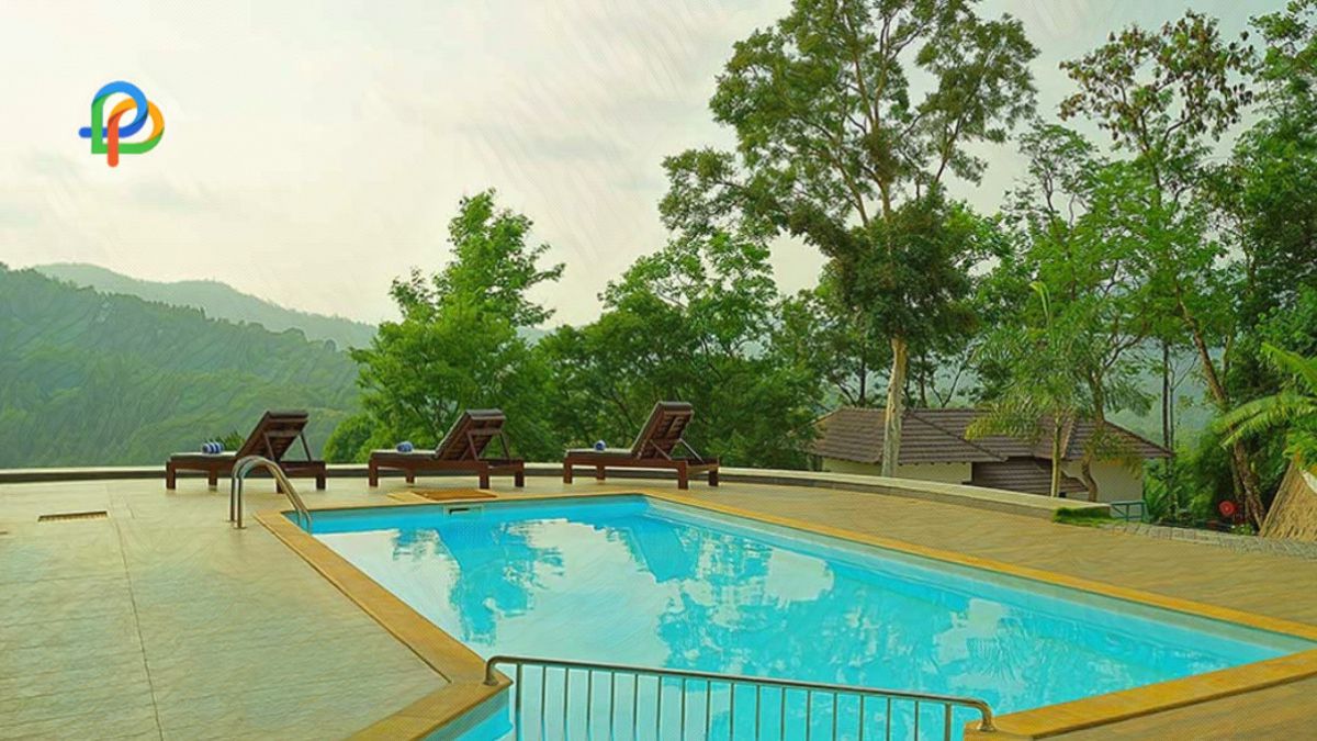 Resorts Near Periyar National Park For A Amazing Stay!