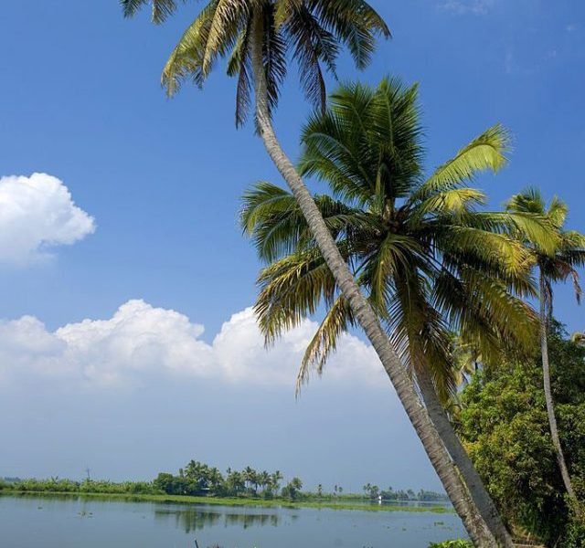 10 Best Kerala August Destinations To Enjoy Monsoon In 2023