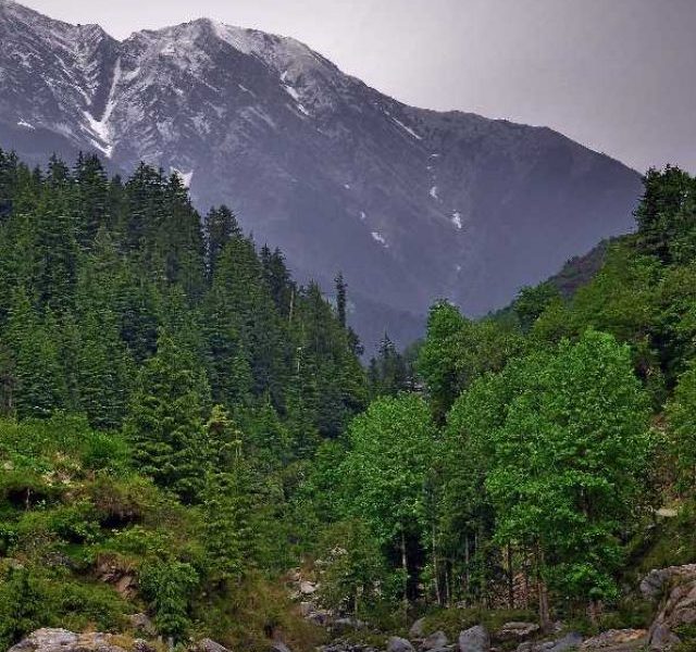 Barot Valley - Discover The Best Of Himachal's Adventure Mecca