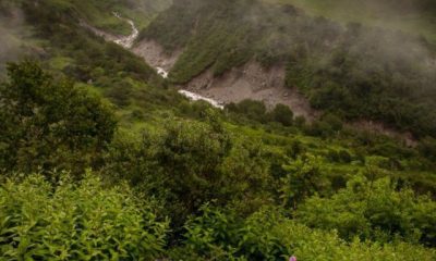 Monsoon Trekking In The Himalayas