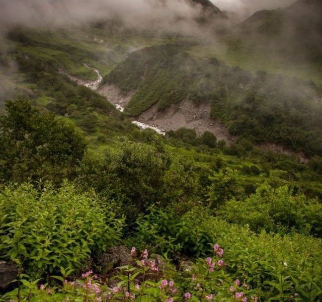 Monsoon Trekking In The Himalayas