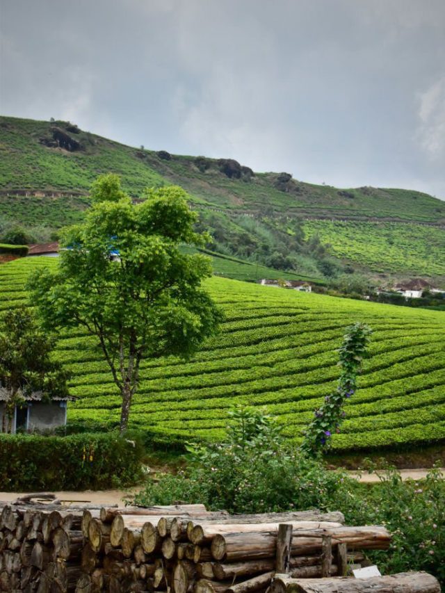 Ten Of India's Most Affordable Backpacking Destinations! People Places