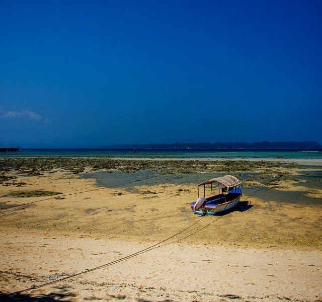 Explore The Marine Life Of Andaman And Nicobar Islands
