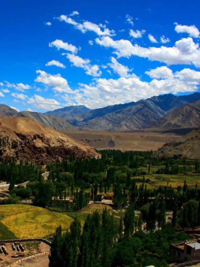 Turtuk: Explore The Land Of Apricots In Ladakh!